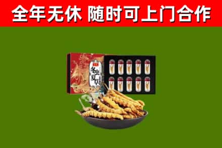 迪庆回收冬虫夏草价格